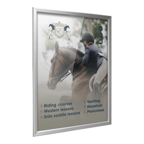 Snapframe showing example artwork of a horse