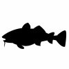 An fish shaped chalkboard that can be written on with chalkpen
