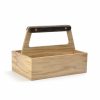 Condiment trug for storing condiments