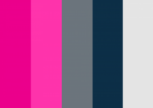 majisign hot pinks palette majisign hot pinks palette